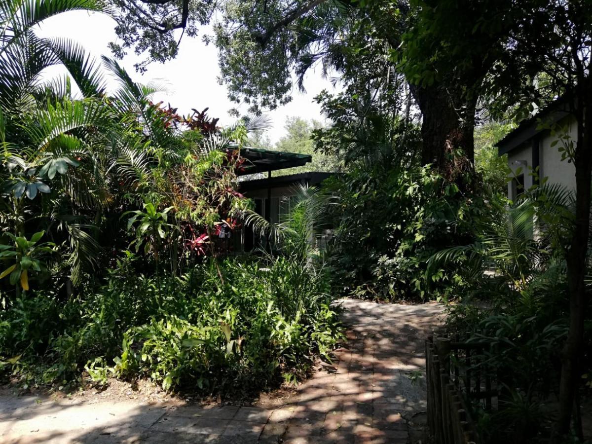 Elephant Walk Guesthouse And Back Packers Пхалаборва Экстерьер фото